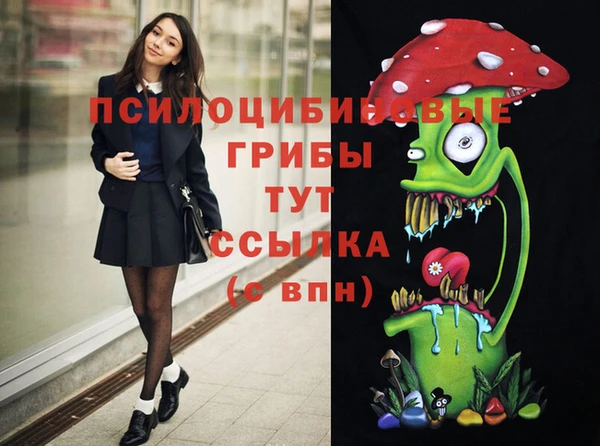 амфетамин Елизово