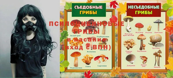 скорость Ельня