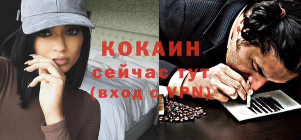 скорость Ельня