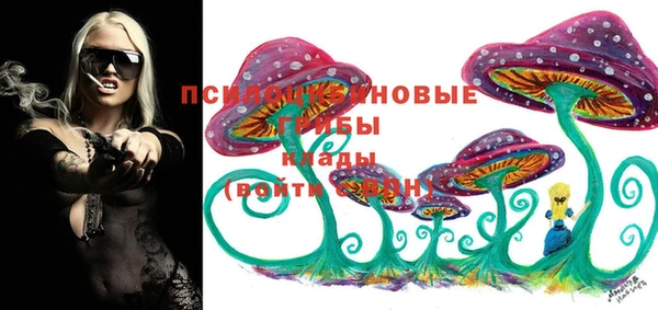 скорость Ельня