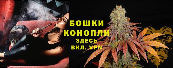 скорость Ельня