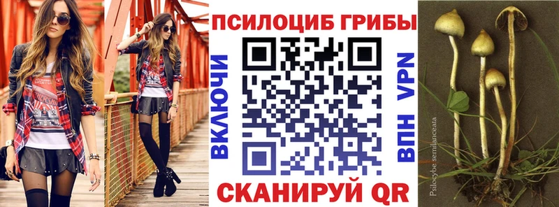 Галлюциногенные грибы Psilocybe Купить закладки Кущёвская
